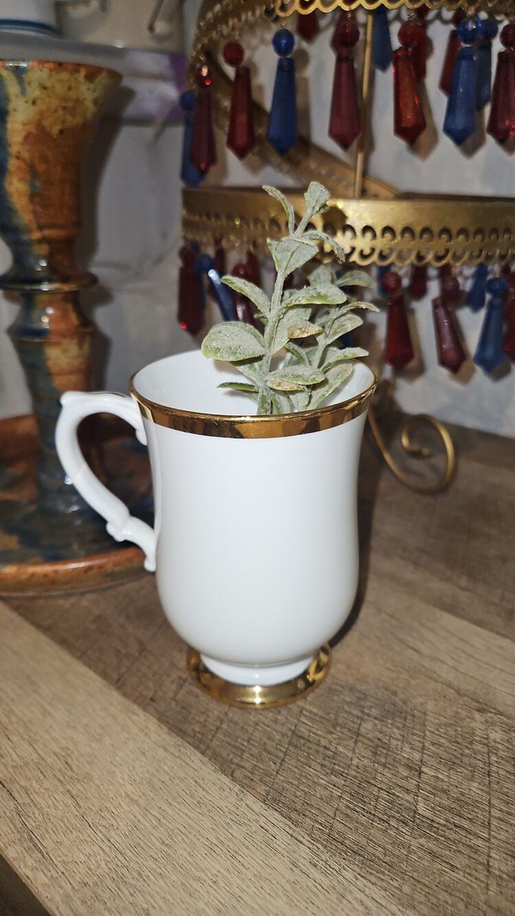 White/Gold Trim Royal Victoria Tea Cup